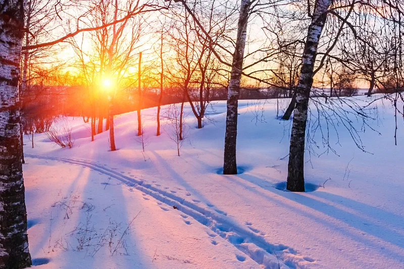 January 2020 Newsletter