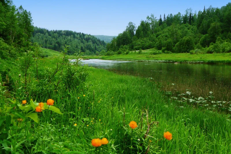 NWL June 2020 Newsletter